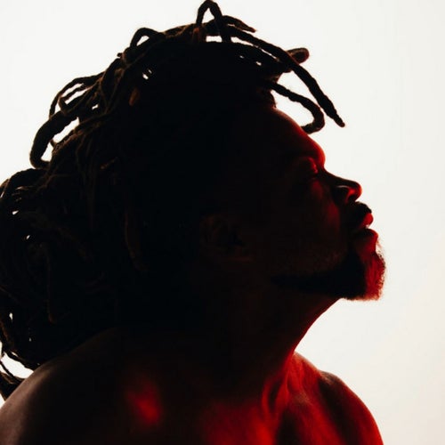 Carlinhos Brown Profile