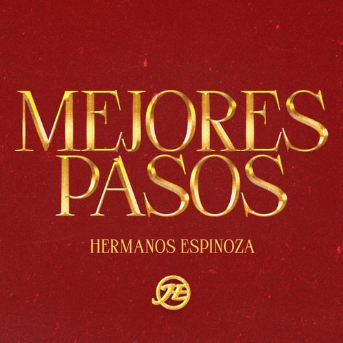 MEJORES PASOS