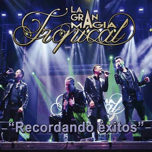 Recordando Éxitos (Remixes)
