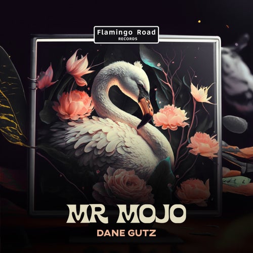 Mr Mojo