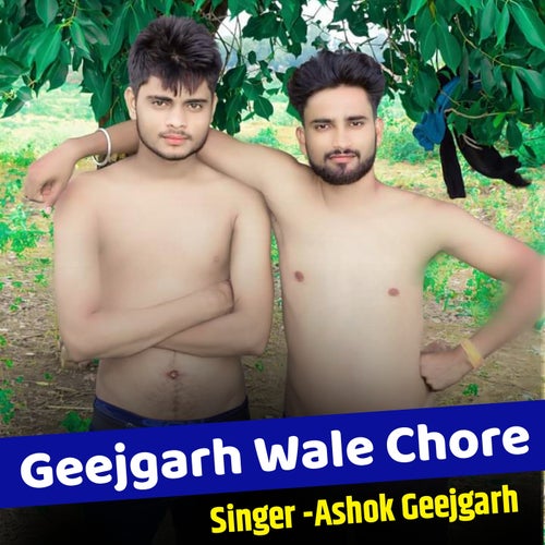 Geejgarh Wale Chore (Fet. Bharosi Nathalwara)