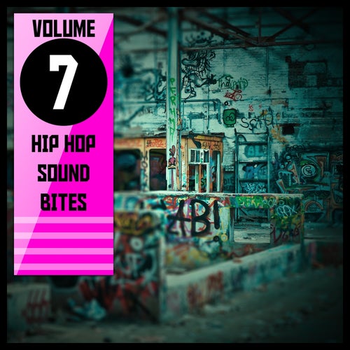 Hip Hop Sound Bites,Vol.7