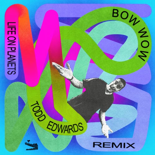 Bow Wow (Todd Edwards Remix)