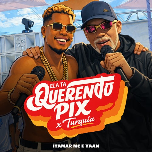 Ela Ta Querendo Pix X Turquia