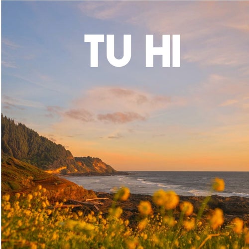 Tu hi