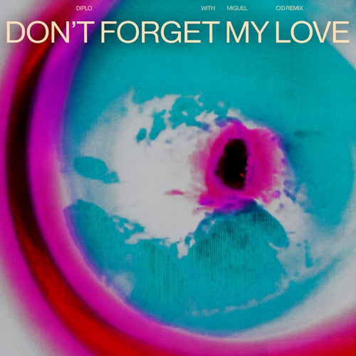 Don't Forget My Love