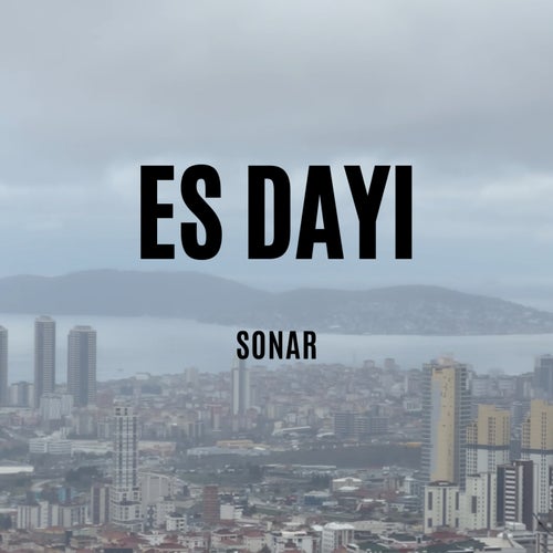 Es Dayı