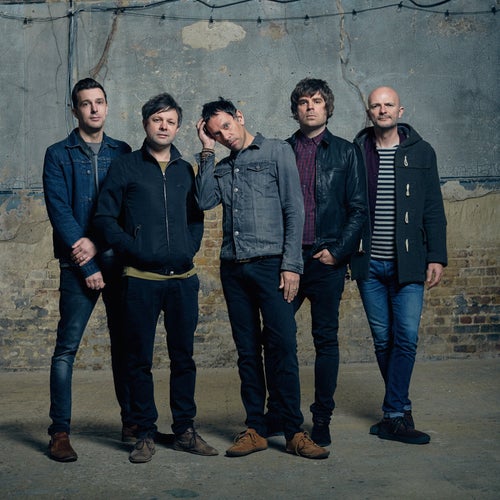 Shed Seven Profile