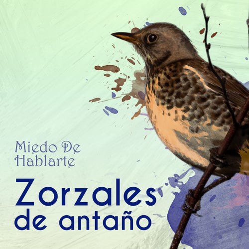 Zorzales de Antaño… Miedo De Hablarte