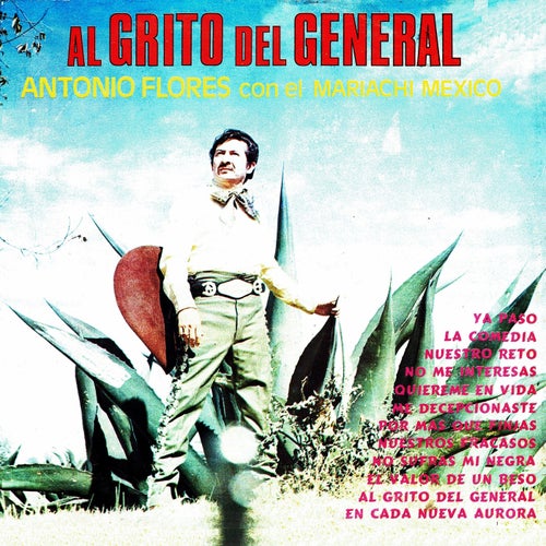 Al grito del general