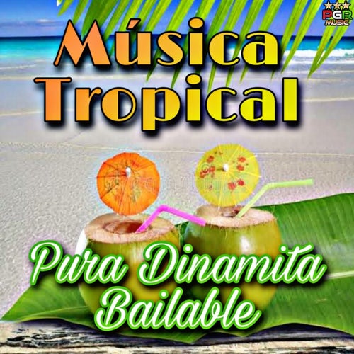 Pura Dinamita Bailable