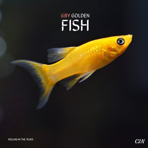 Golden Fish