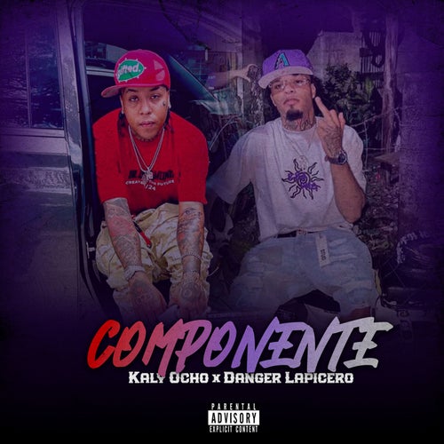 COMPONENTE