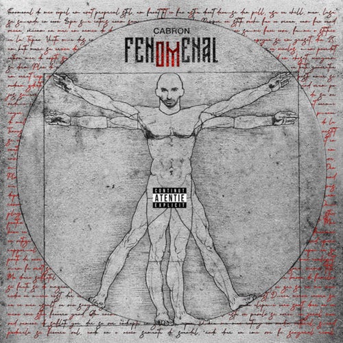 FENOMENAL