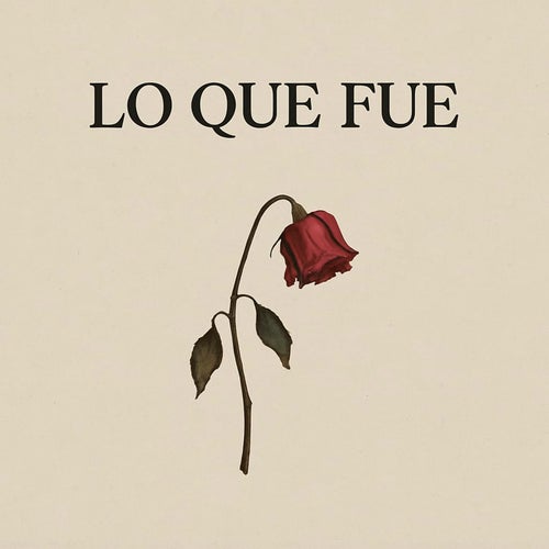 Lo Que Fue