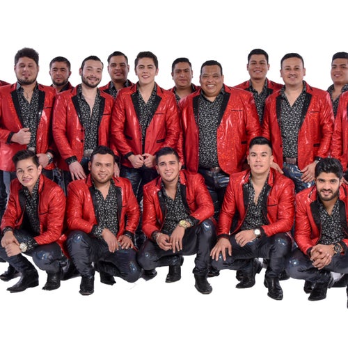 Banda Los Sebastianes Profile
