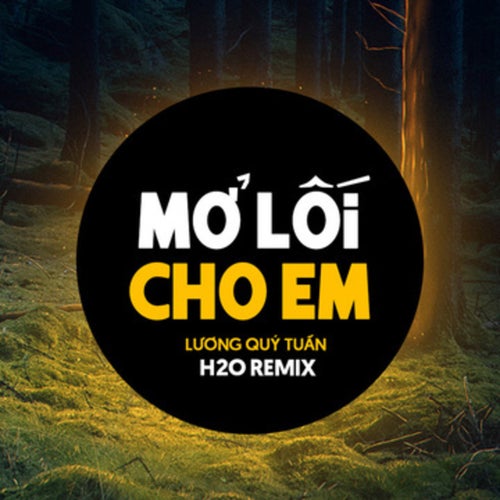 Mở Lối Cho Em (EDM Remix)