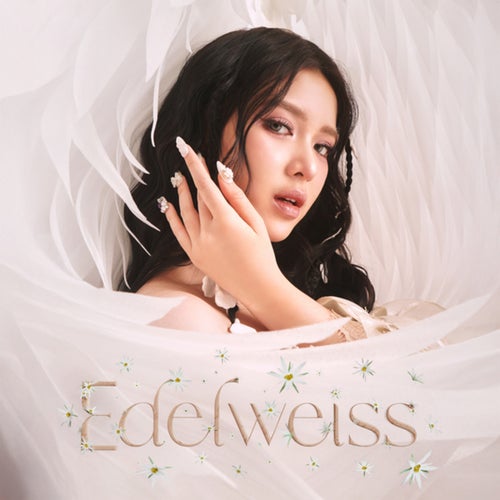 Edelweiss