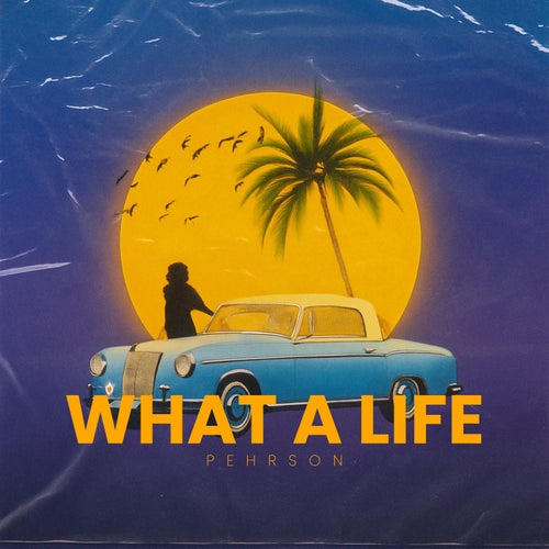 What A Life