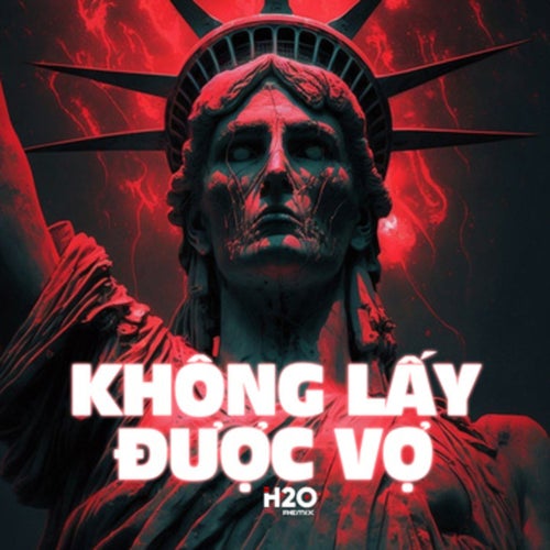 Không Lấy Được Vợ (Ness Remix)