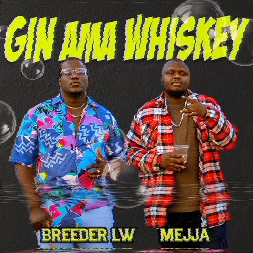 Gin Ama Whiskey