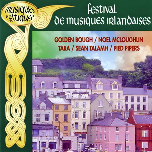 Festival De Musiques Irlandaises Vol. 1 (Musiques Celtiques)