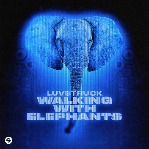 Walking With Elephants