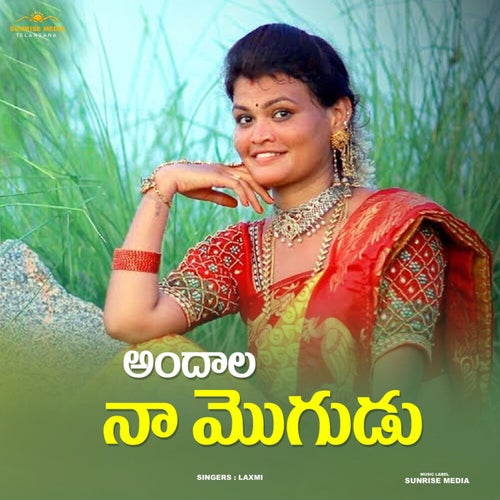 Andala Naa Mogudu
