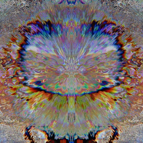 Z V T V N
