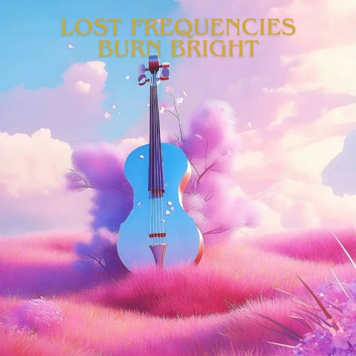 Lost Frequencies Burn Bright