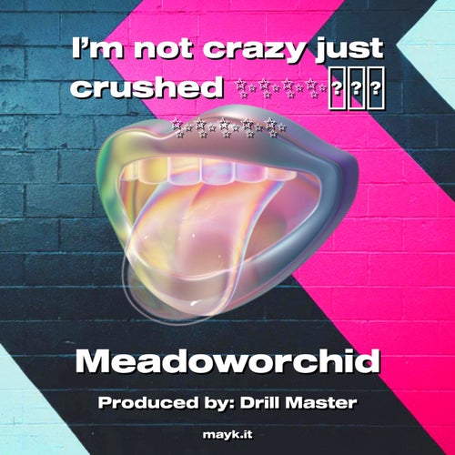 I'm not crazy just crushed