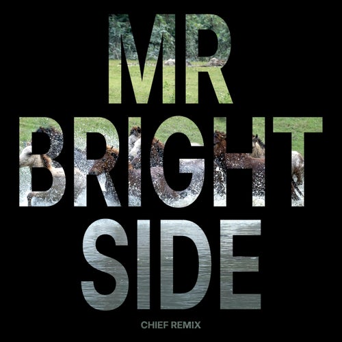 MR BRIGHTSIDE (CHIEF Remix)