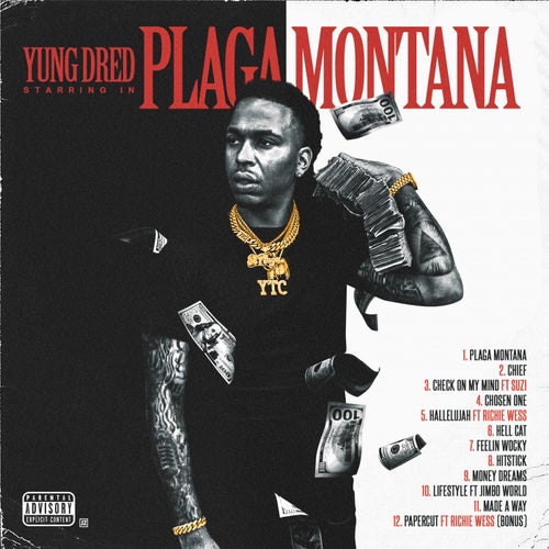 Plaga Montana