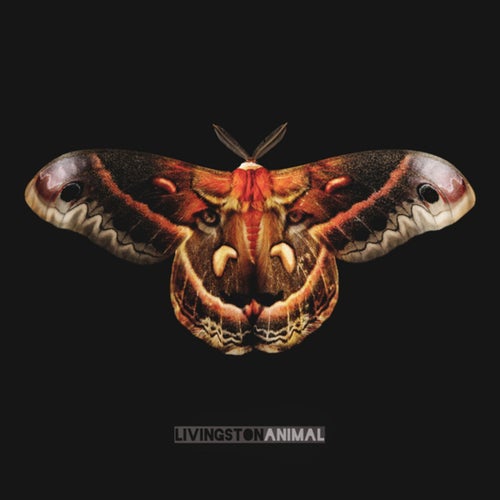 Release of the week