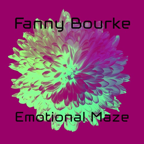 Emotional Maze