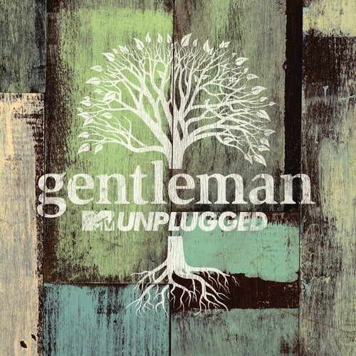 MTV Unplugged (Live (Deluxe))