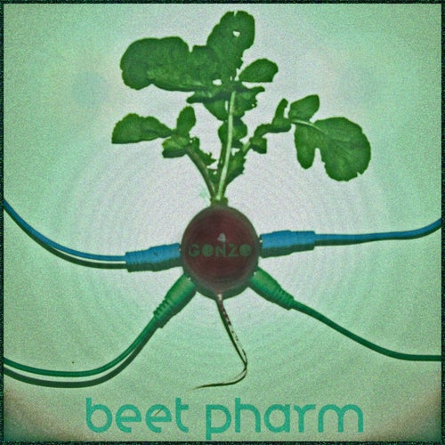 beet pharm