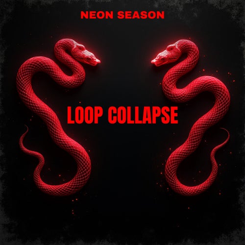 Loop Collapse