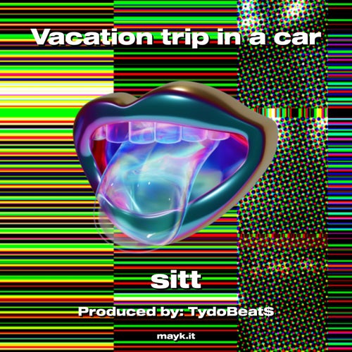 Vacation trip in a car