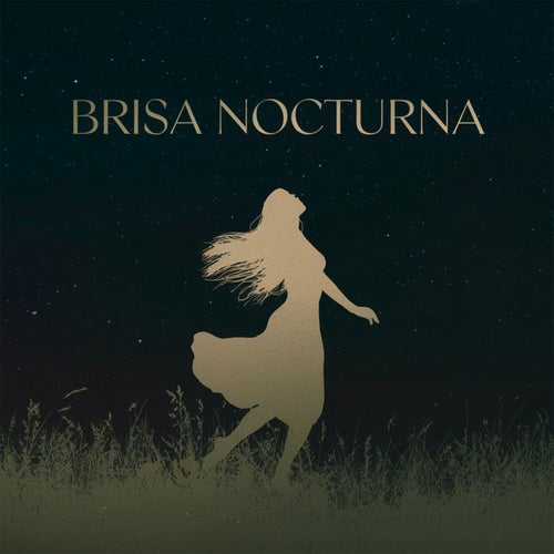 Brisa nocturna