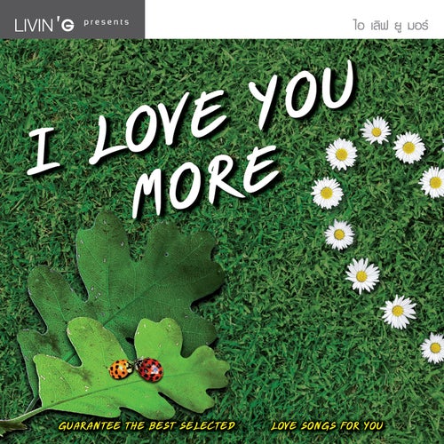 I LOVE YOU MORE