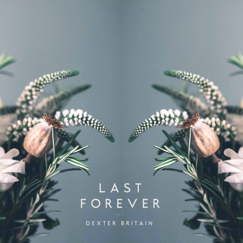 Last Forever