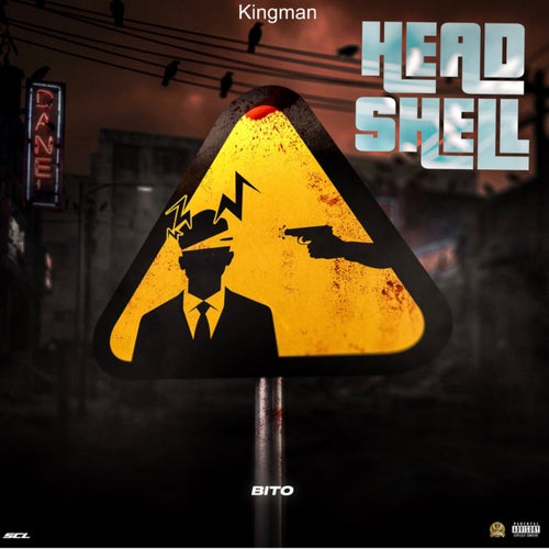 Head Shell