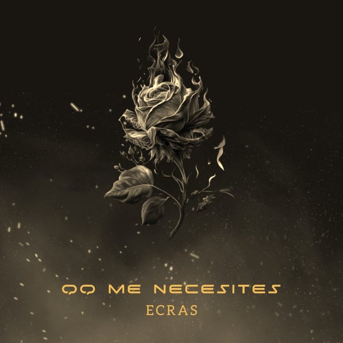 QQ Me Necesites