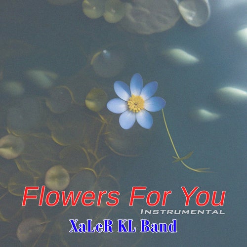 Flowers For You (Instrumental)