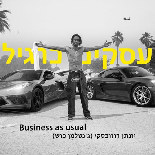 עסקים כרגיל