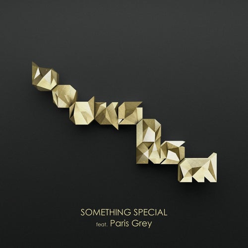 Something Special (feat. Paris Grey) (Radio Edit)