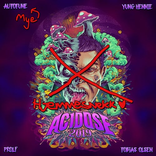 Acidose 2019 - Hjemmesnekk