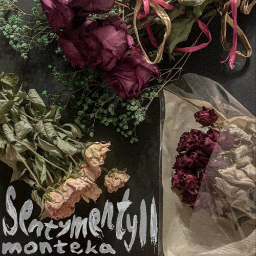 SENTYMENTY II