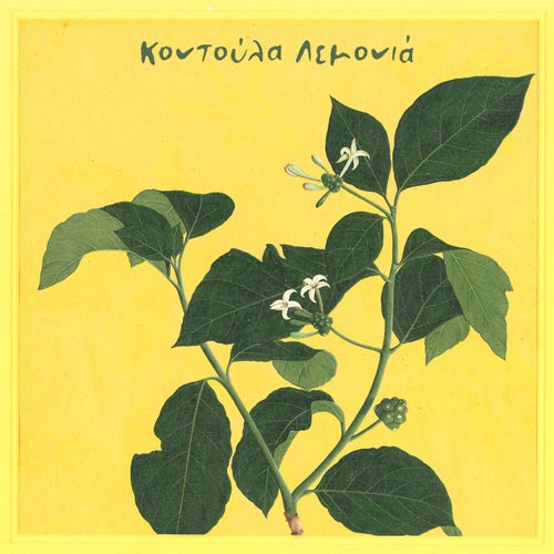Kontoula Lemonia